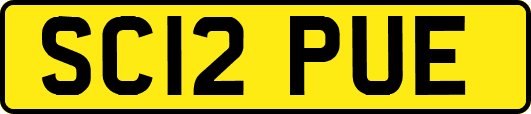 SC12PUE