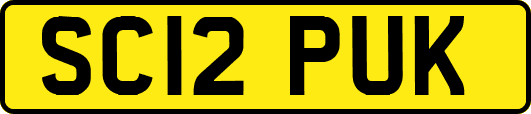 SC12PUK