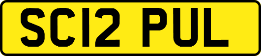 SC12PUL