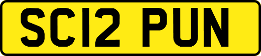 SC12PUN