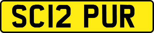 SC12PUR