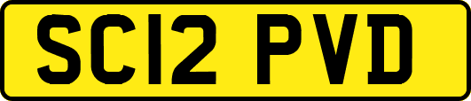 SC12PVD