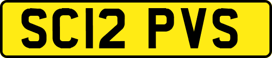 SC12PVS