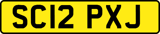 SC12PXJ