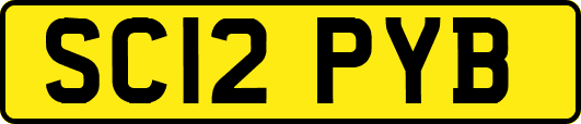 SC12PYB