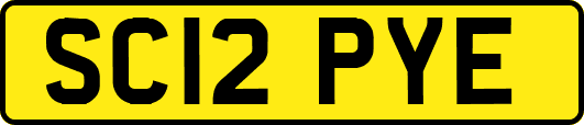 SC12PYE