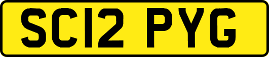 SC12PYG