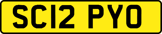 SC12PYO