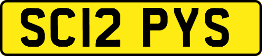 SC12PYS