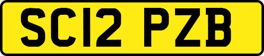 SC12PZB