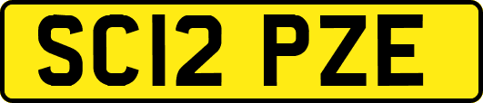 SC12PZE
