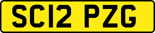 SC12PZG