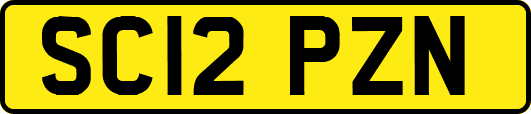 SC12PZN
