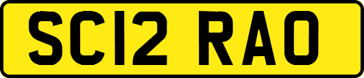 SC12RAO