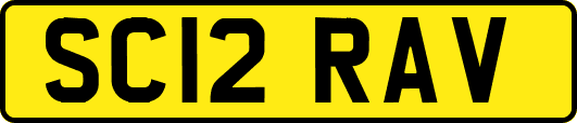 SC12RAV
