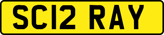 SC12RAY