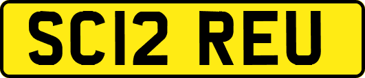 SC12REU