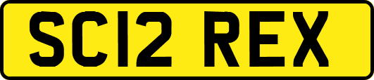 SC12REX