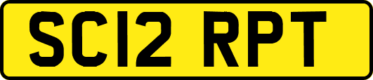 SC12RPT