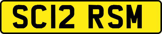 SC12RSM