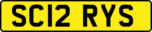 SC12RYS