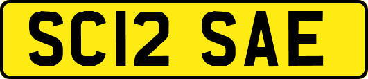 SC12SAE