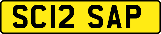 SC12SAP