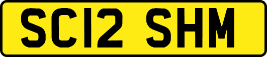 SC12SHM