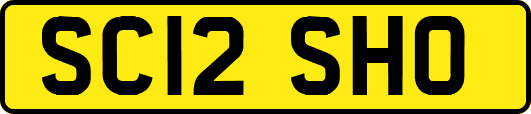 SC12SHO