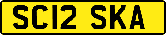 SC12SKA