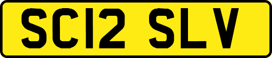 SC12SLV