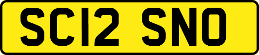SC12SNO