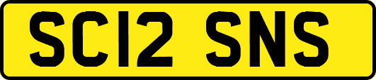 SC12SNS