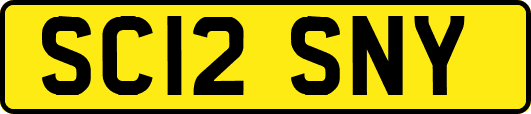 SC12SNY