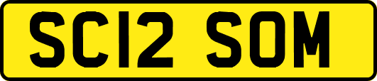 SC12SOM