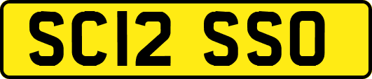 SC12SSO