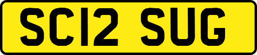 SC12SUG