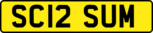 SC12SUM
