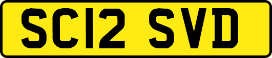 SC12SVD