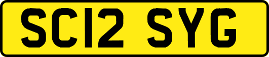 SC12SYG