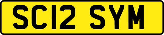 SC12SYM