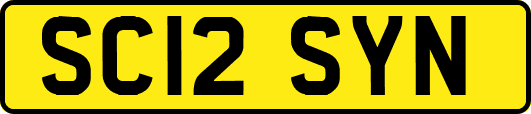 SC12SYN