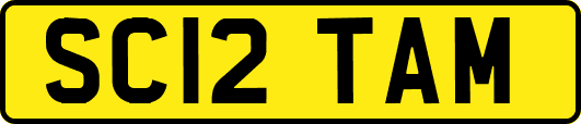 SC12TAM