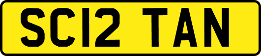 SC12TAN