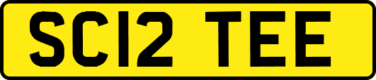 SC12TEE