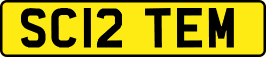SC12TEM