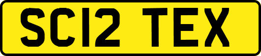 SC12TEX