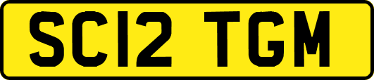 SC12TGM
