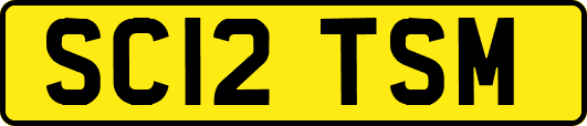 SC12TSM