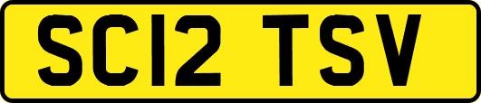 SC12TSV